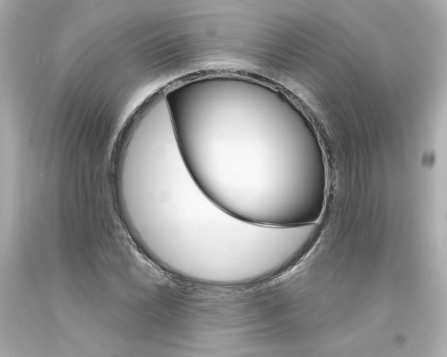 X0000094351022200711021308