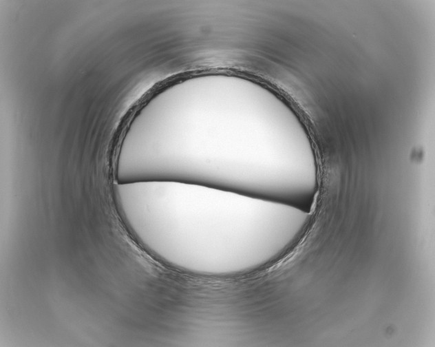 X0000094351023200711021308