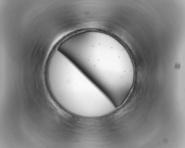 X0000094351024200711021308
