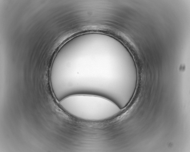 X0000094351025200711021308
