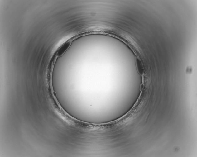 X0000094351026200711021308