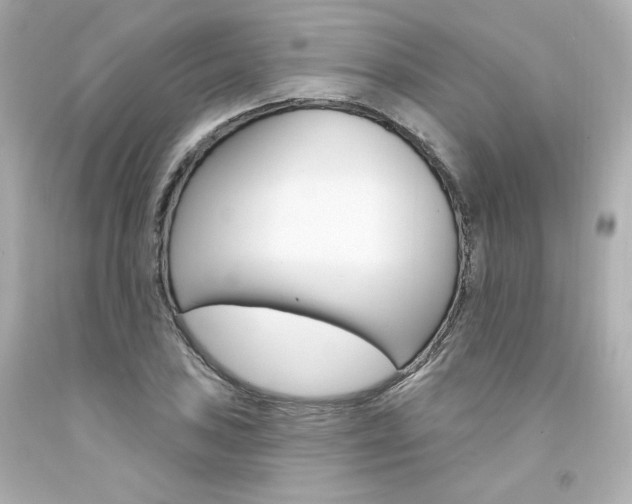 X0000094351027200711021308