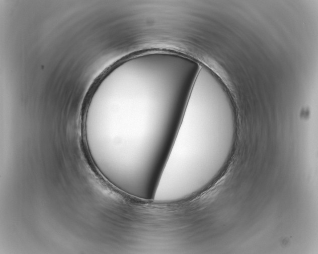X0000094351028200711021308