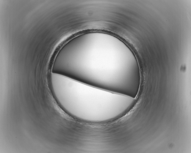X0000094351029200711021308