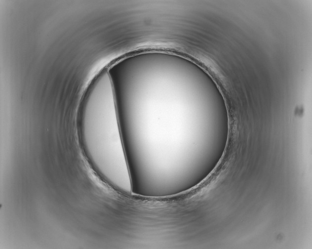 X0000094351030200711021308