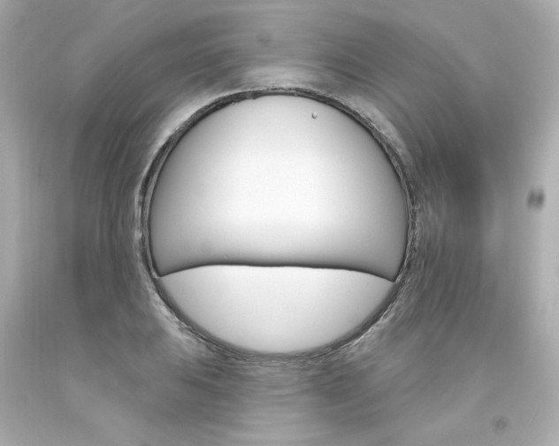 X0000094351031200711021308