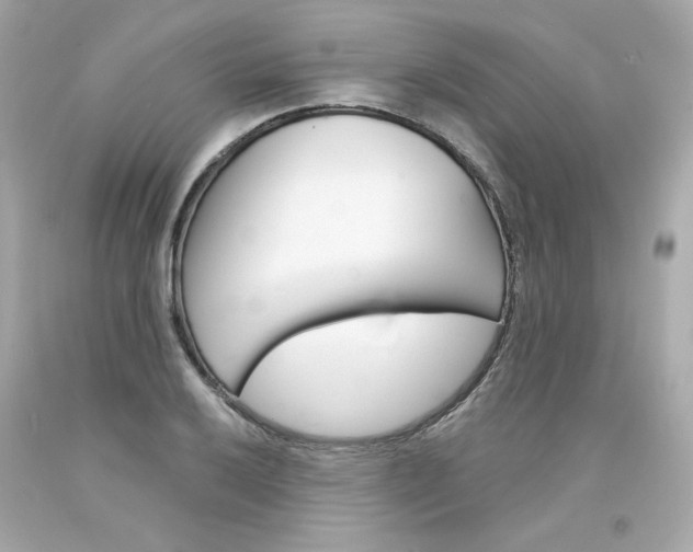 X0000094351032200711021308