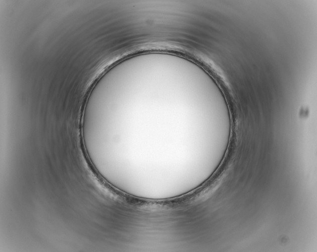 X0000094351033200711021308