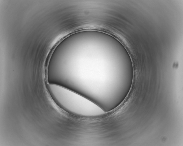 X0000094351034200711021308