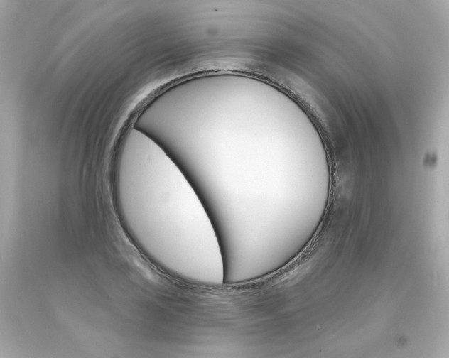 X0000094351035200711021308