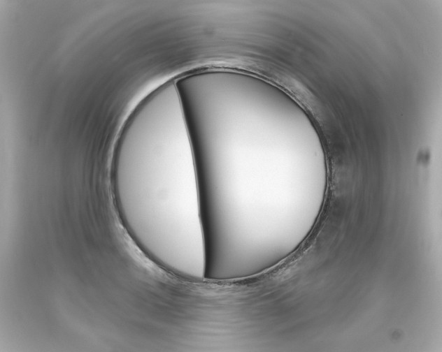 X0000094351036200711021308