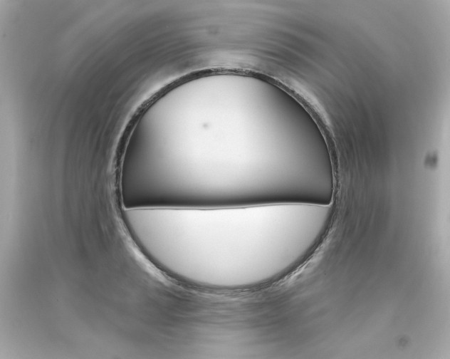 X0000094351037200711021308
