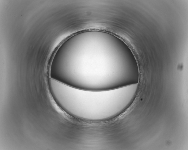 X0000094351038200711021308