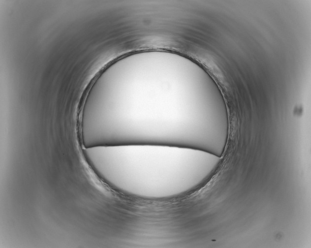 X0000094351039200711021308