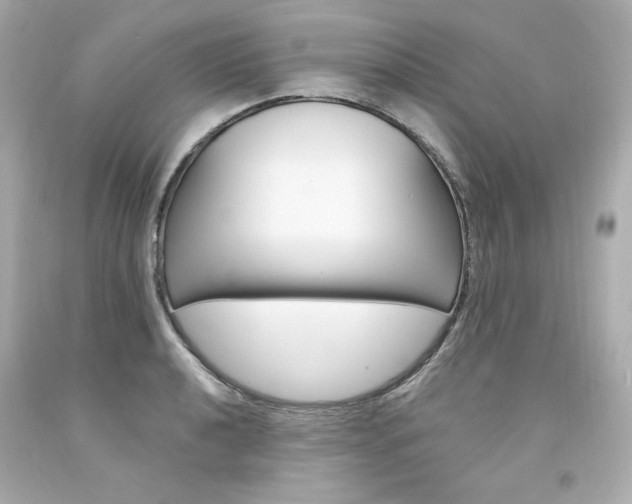 X0000094351040200711021308