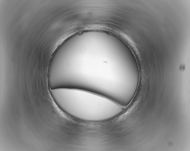 X0000094351041200711021308