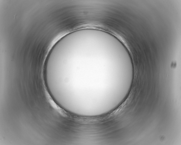 X0000094351042200711021308