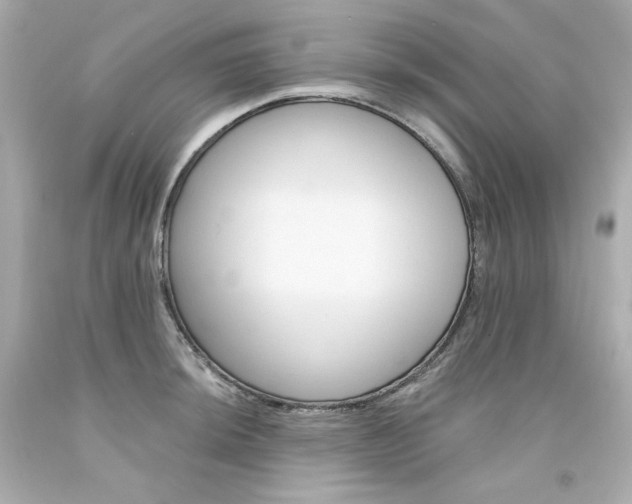 X0000094351044200711021308