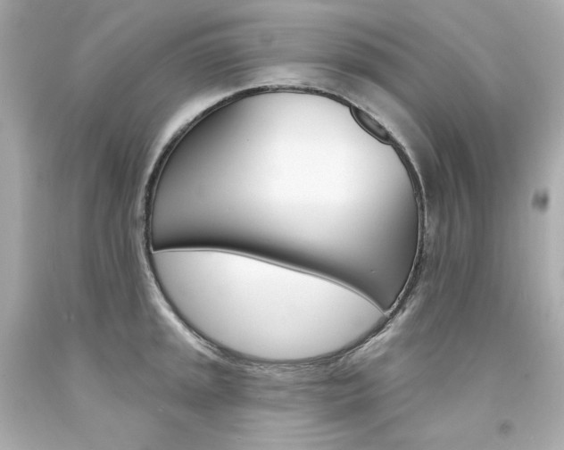 X0000094351045200711021308