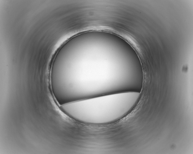 X0000094351046200711021308