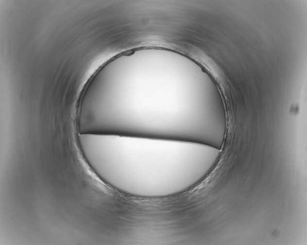 X0000094351048200711021308