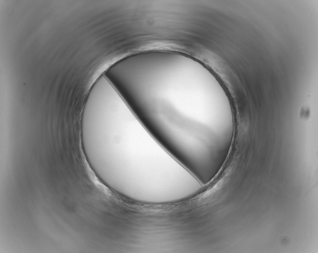X0000094351049200711021308
