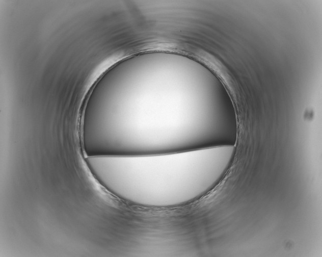 X0000094351050200711021308