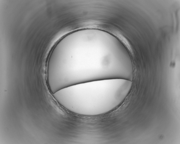 X0000094351051200711021308