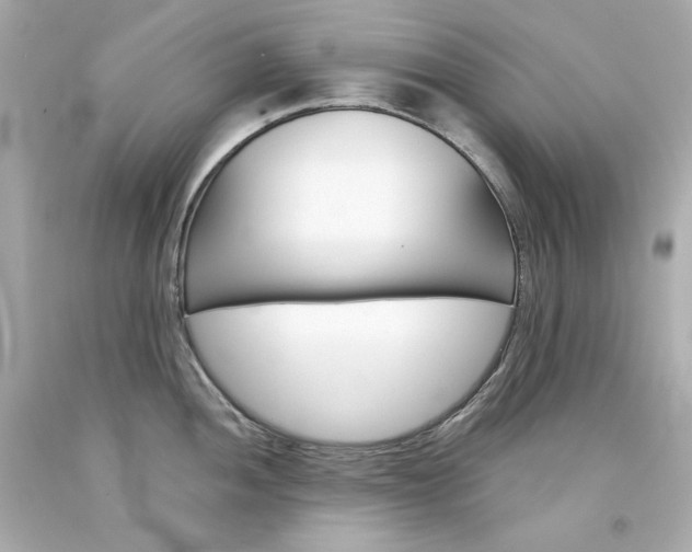 X0000094351052200711021308
