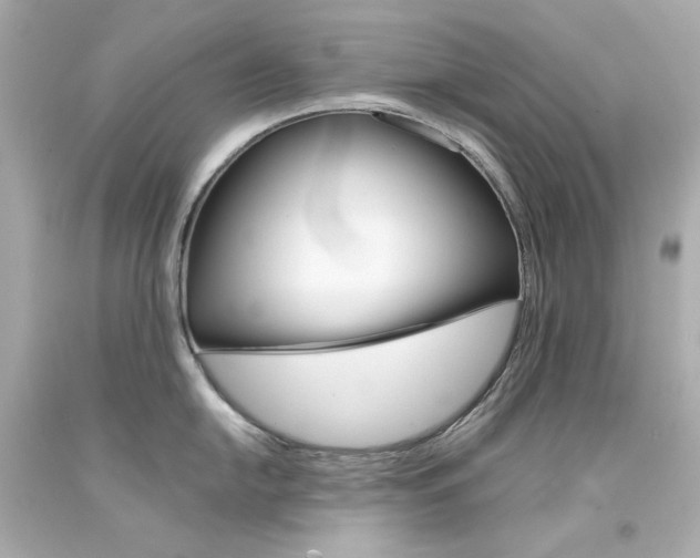 X0000094351054200711021308