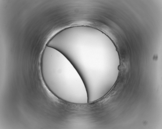 X0000094351055200711021308