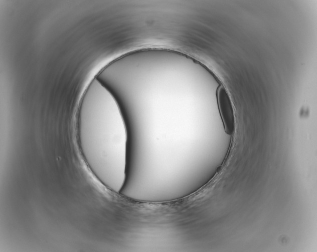 X0000094351056200711021308