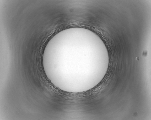 X0000094351057200711021308
