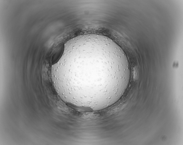 X0000094351059200711021308