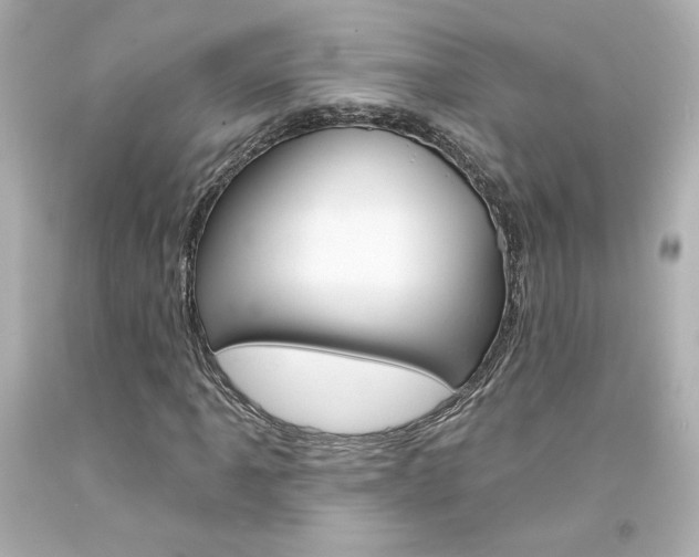 X0000094351061200711021308