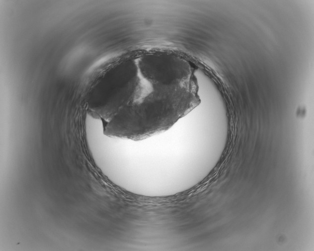 X0000094351063200711021308
