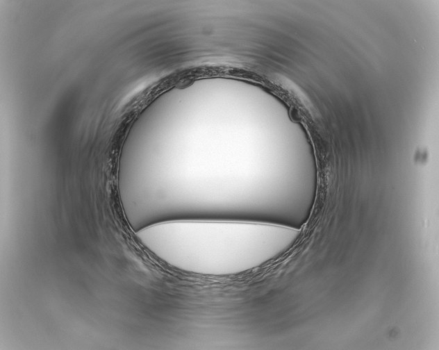X0000094351064200711021308