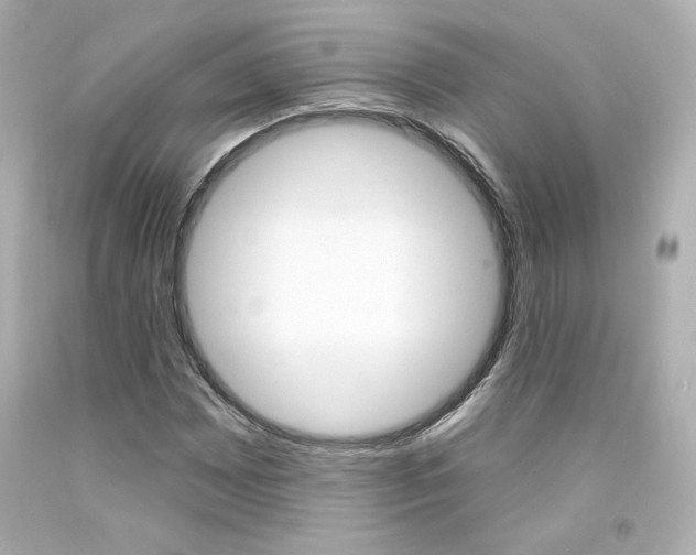 X0000094351065200711021308