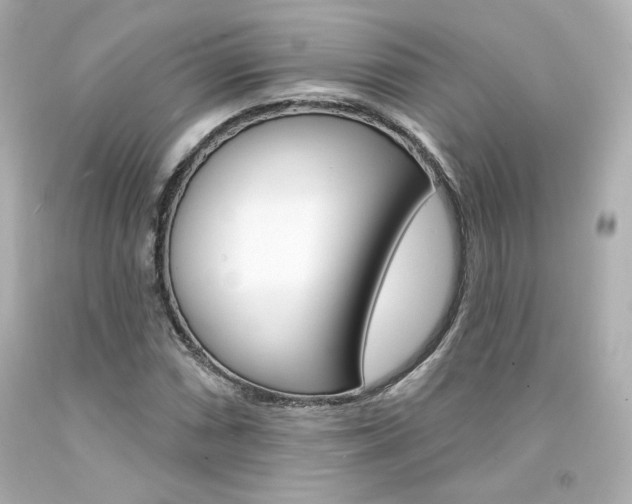 X0000094351066200711021308