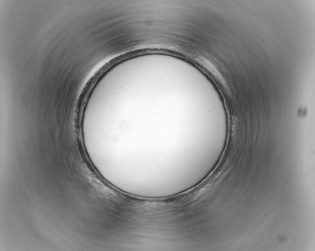 X0000094351068200711021308