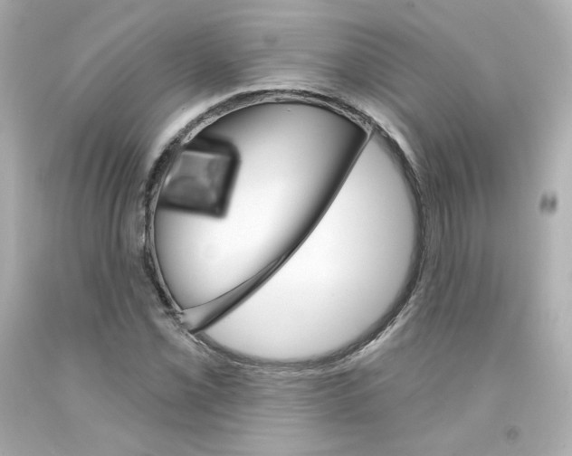 X0000094351069200711021308