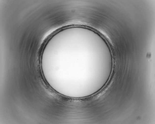 X0000094351070200711021308