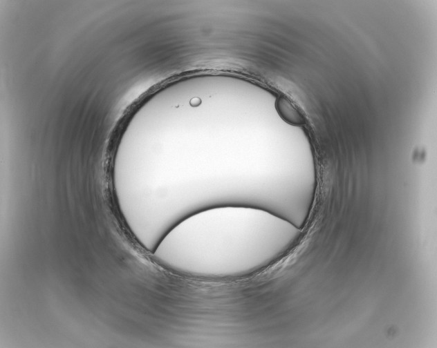 X0000094351071200711021308