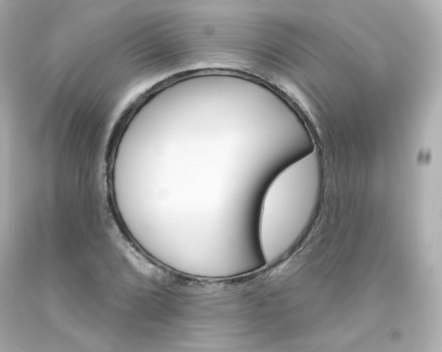 X0000094351072200711021308