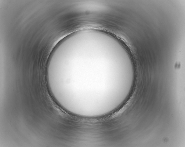 X0000094351073200711021308