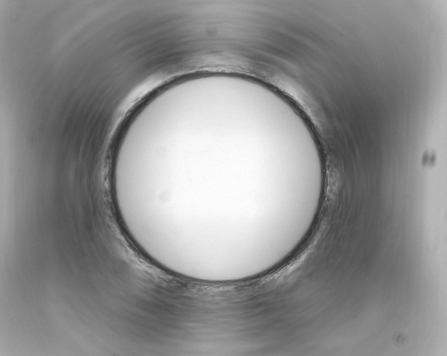 X0000094351074200711021308