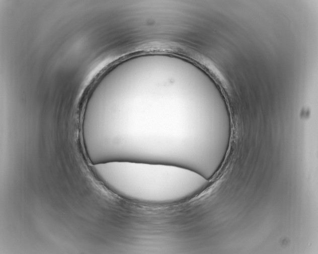 X0000094351075200711021308