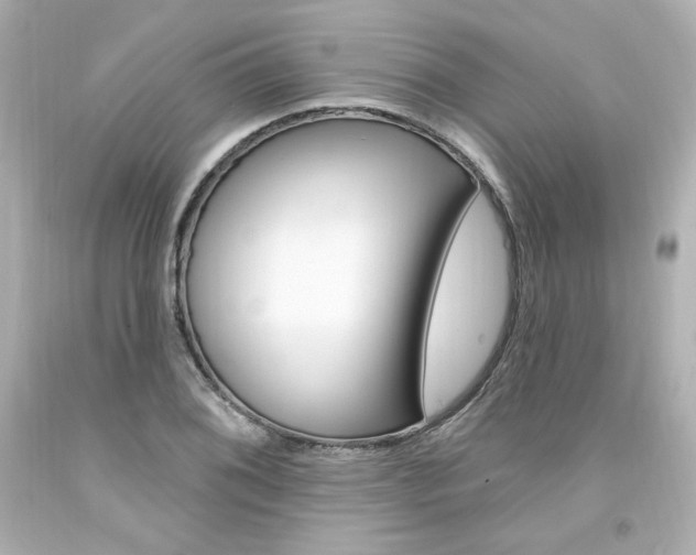 X0000094351076200711021308