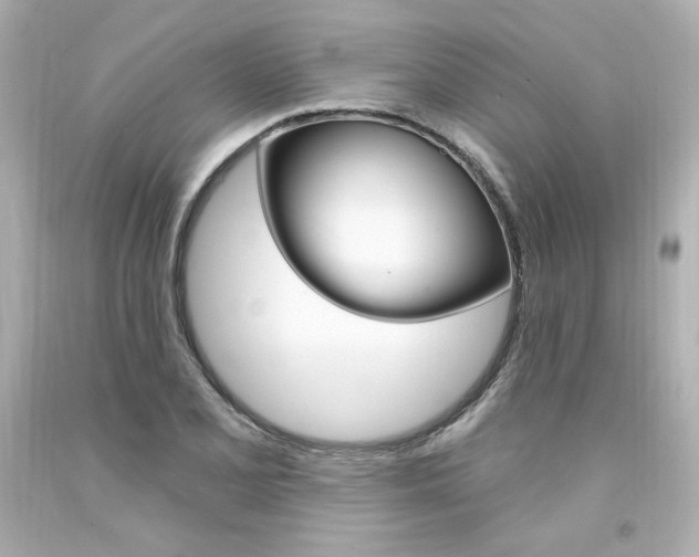 X0000094351077200711021308