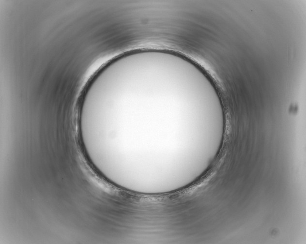 X0000094351078200711021308